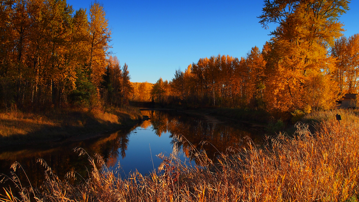 Drift Pile River